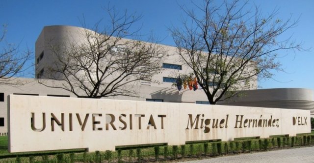 Universidad Miguel Hernández mejores universidades de España