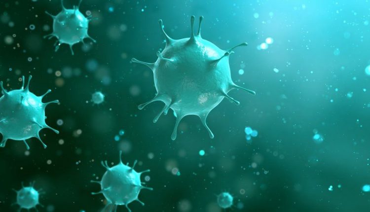 ¿Qué es un coronavirus?, ¿cómo evitar contagios?