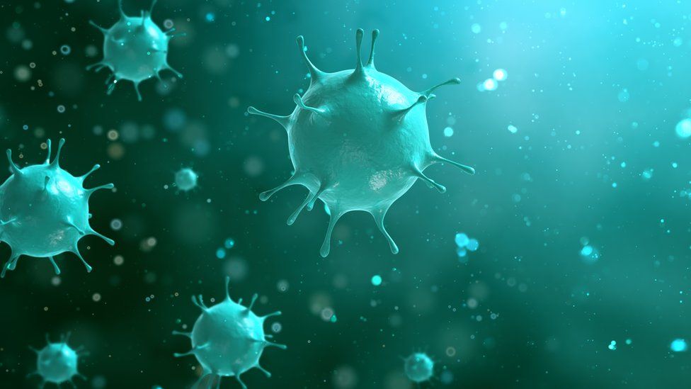 Qué es un coronavirus?, ¿cómo evitar contagios? -